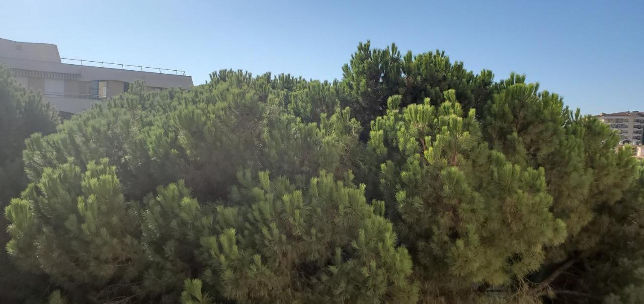 Frejus Plage La Miougrano, T2-3 49M2, 5 Personn Exteriér fotografie
